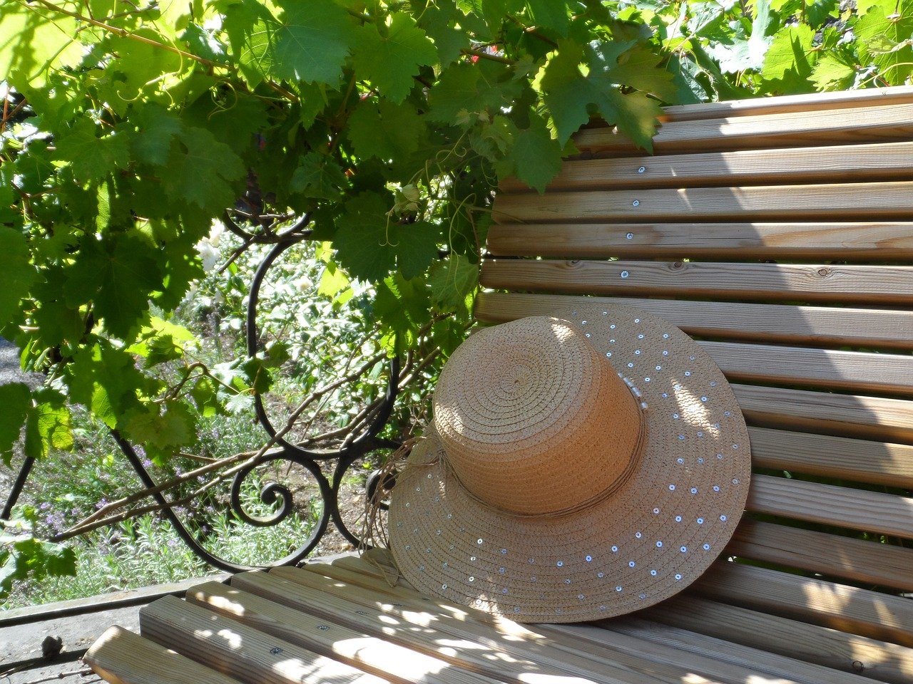 un banc à l'ombre d'une vigne, sur lequel est posé un chapeau de paille