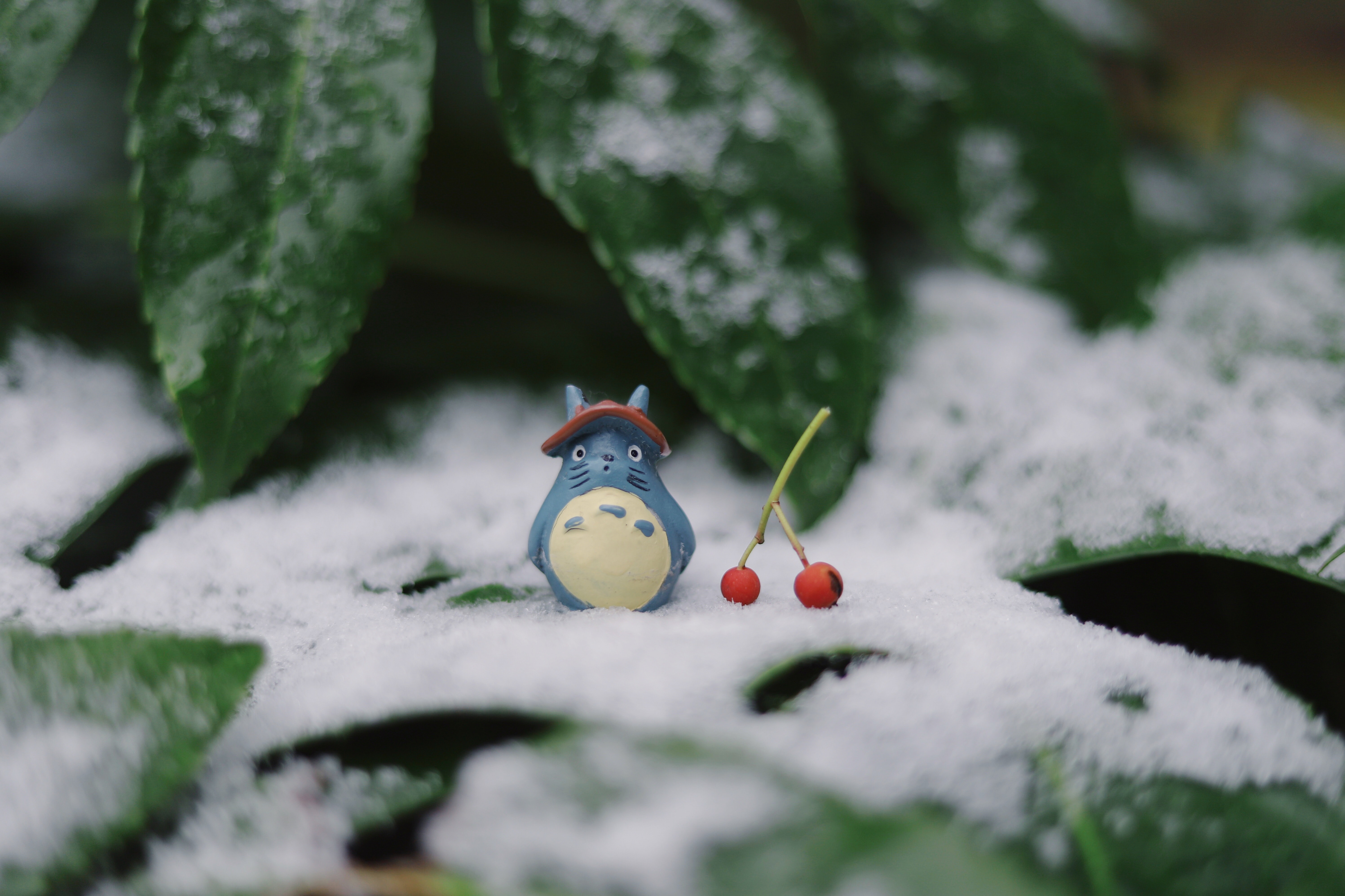 image du personnage japonais Totoro assis dans la neige avec cerises à côté