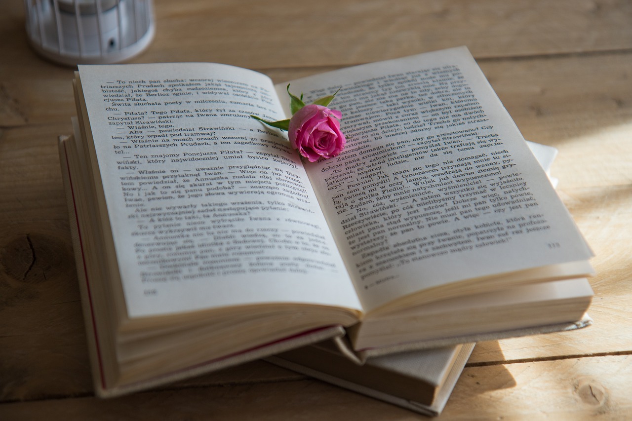 bouton de rose déposé sur un livre ouvert