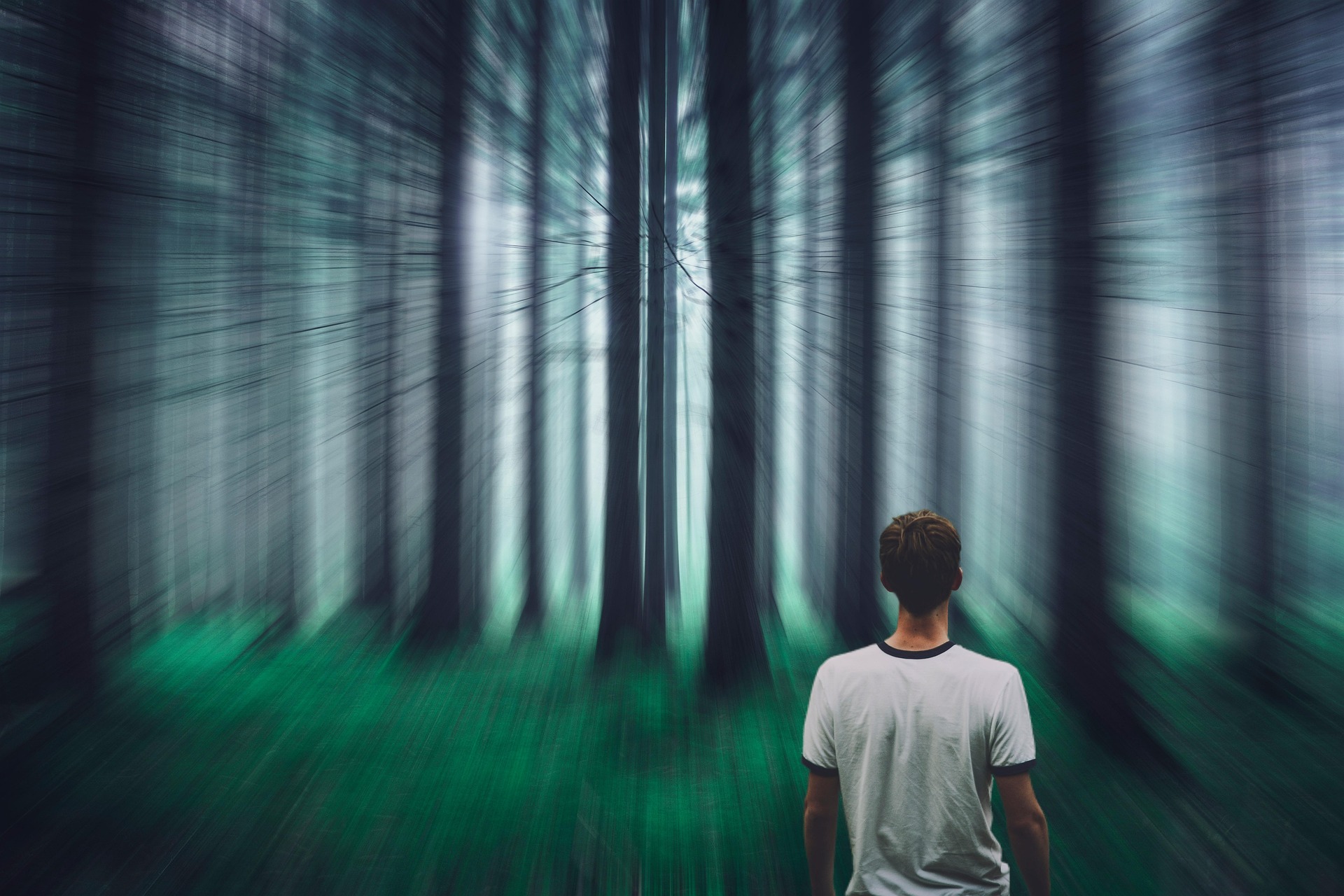 jeune homme de dos en tee-shirt blanc avec forêt en fondu 