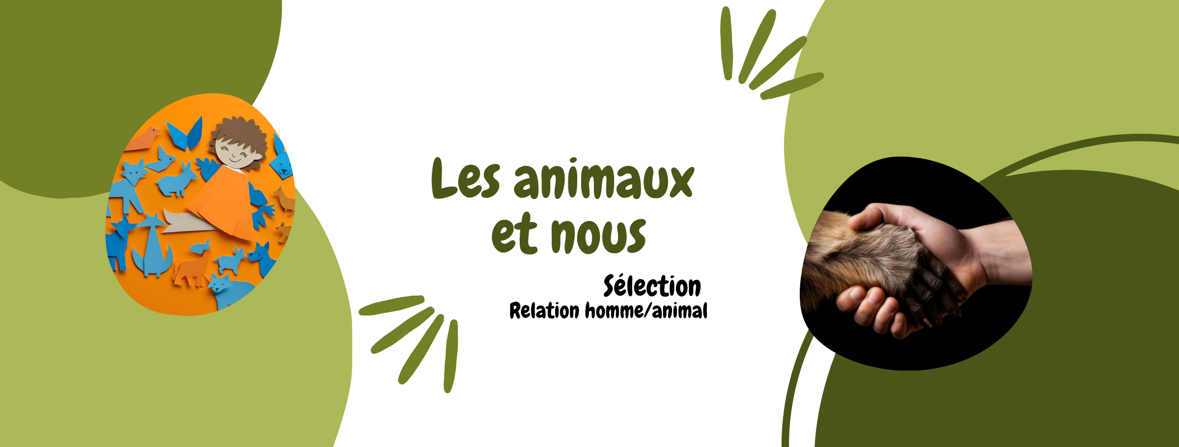 Patte d'animal dans une main d'homme