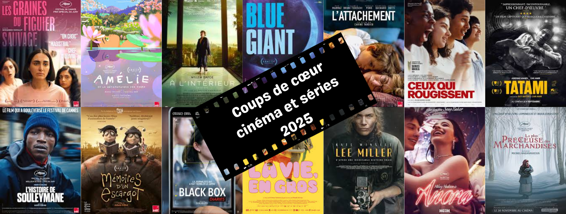 Suite de vignettes de jaquette de DVD