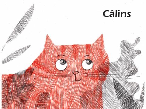 Couverture Câlins Ouvrez ouvrez les livres aux bébés 2020 premières pages puy de dome