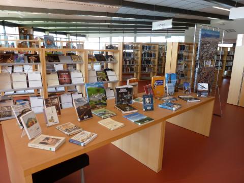 Livres présentés sur une table en bibliothèque