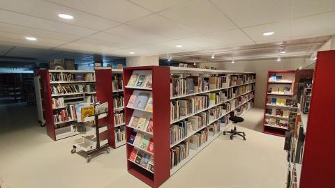 étagères neuves avec des livres