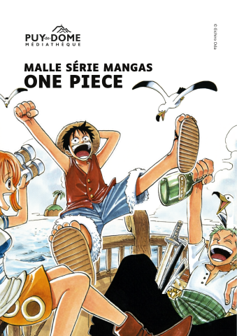 couverture livret malle One piece