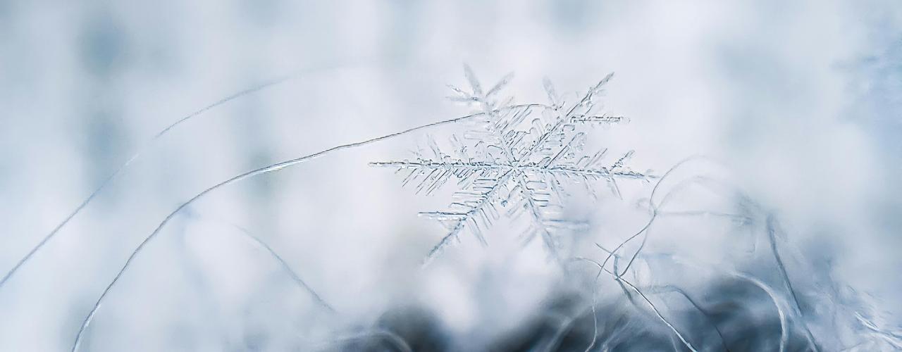 fond blanc avec neige et étoile sur le devant