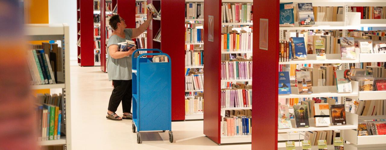 Bibliothécaire dans des rayons