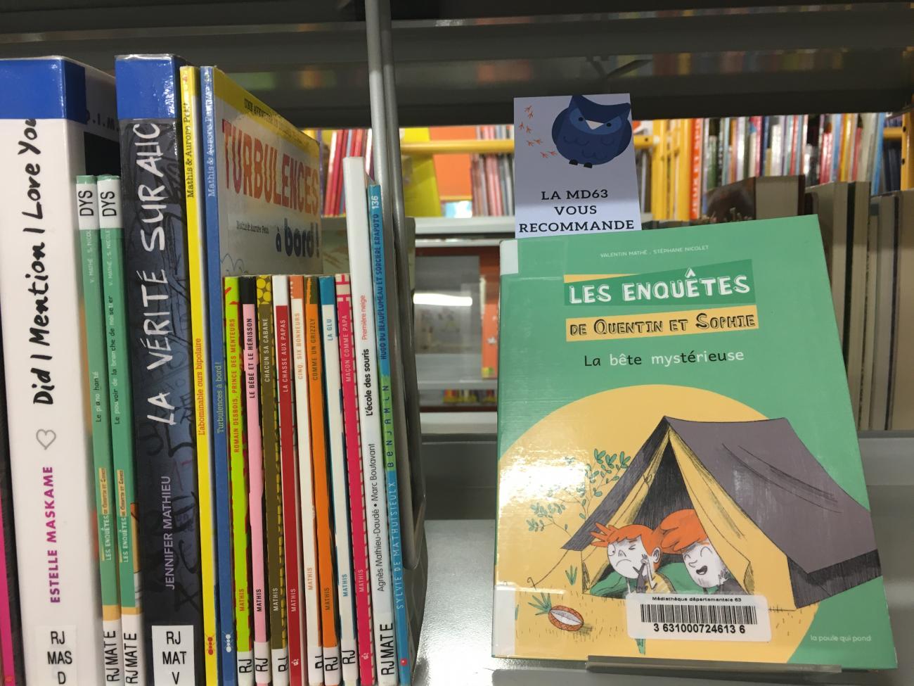 Livres sur un rayon de bibliothèque