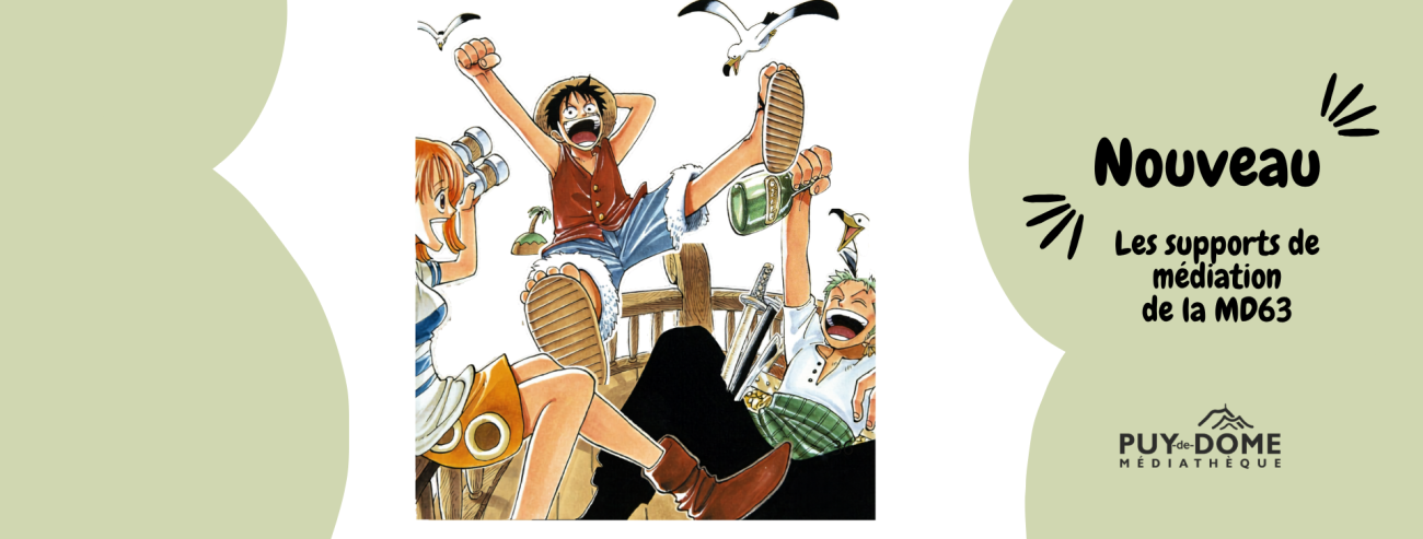Image avec personnages de One Piece