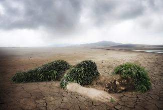 végétation formant un corps humain allongé dans le désert 