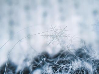 fond blanc avec neige et étoile sur le devant