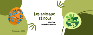 bandeau vert et blanc avec animaux en vert et titre Les animaux et nous