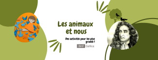 Visuel activités avec les plus grands