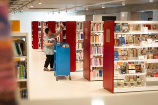Bibliothécaire dans des rayons