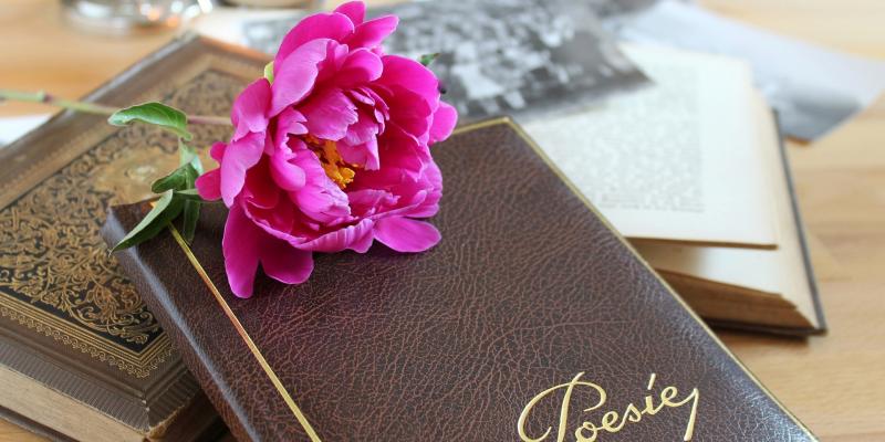 rose et livre en cuir marron posés sur une table