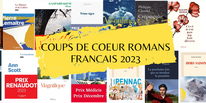 15 jaquettes de romans français 2023