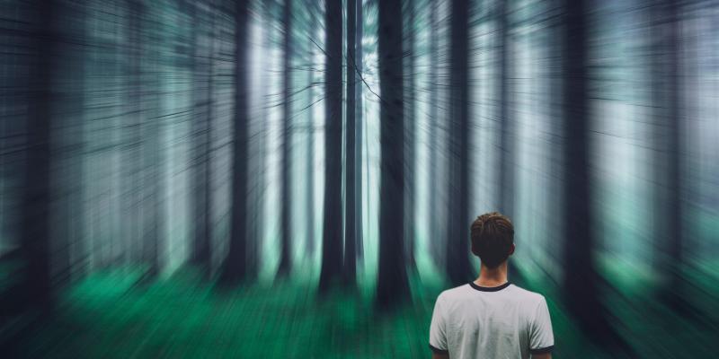 jeune homme de dos en tee-shirt blanc avec forêt en fondu 