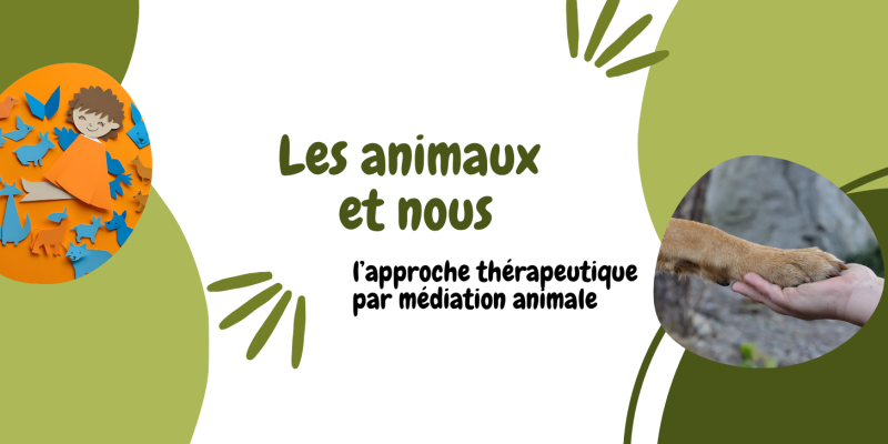 bannière de la thématique les animaux et nous