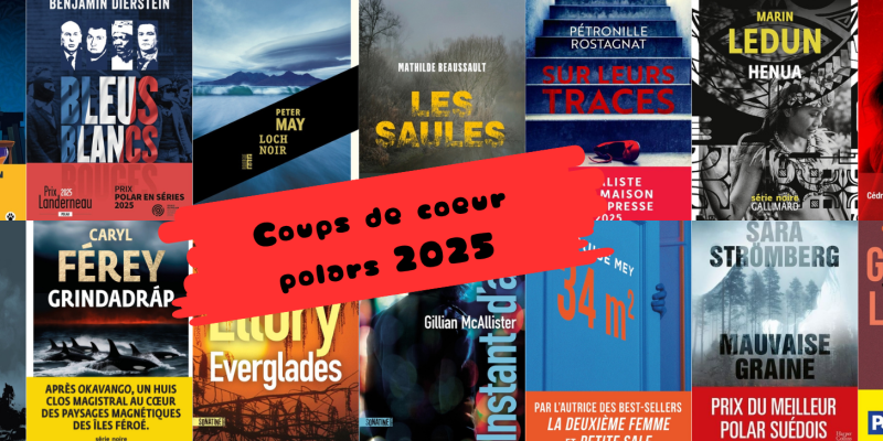 patchwork de couvertures de polars