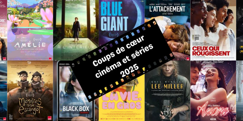 Suite de vignettes de jaquette de DVD